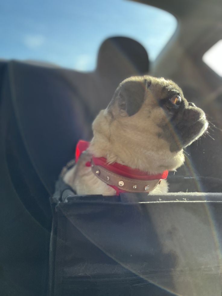 PANEN99™ – Portal Gacor Andalan X1000 Mudah Meledak Auto Menang Banyak! image 1